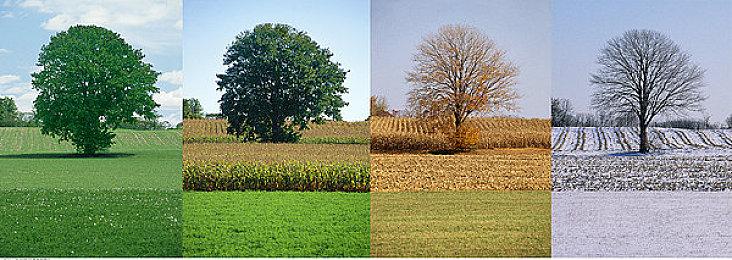 未来游戏展：科幻解谜《The Entropy Centre》新预告